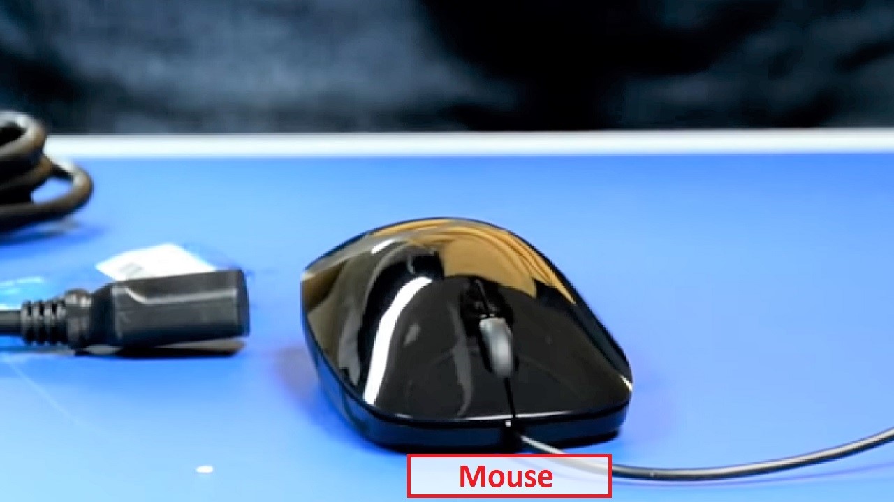 HP Pavilion 570 Mouse