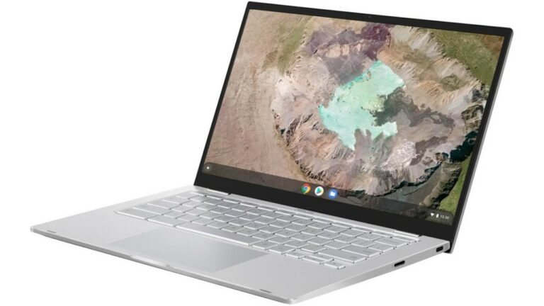 Asus Chromebook C425 Laptop