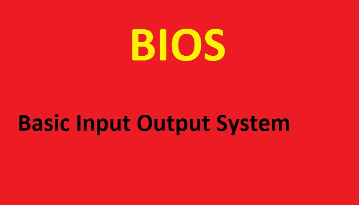 What is Basic Input Output System