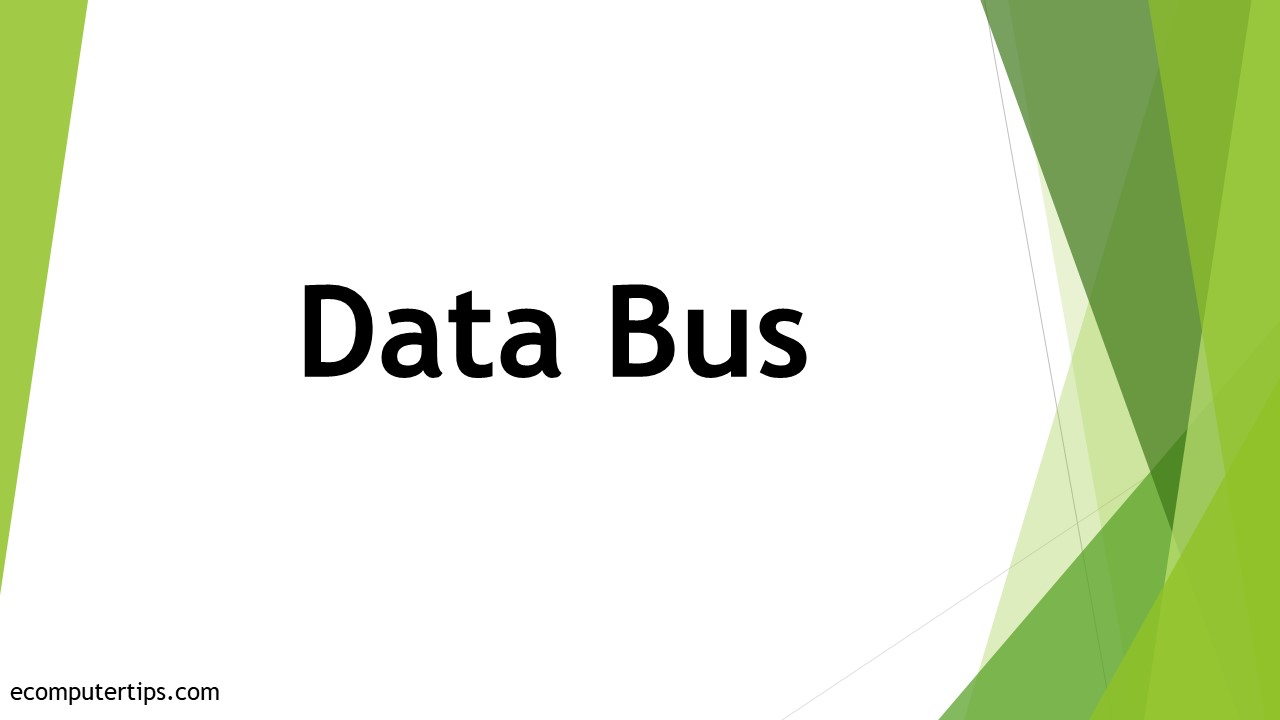 What is Data Bus