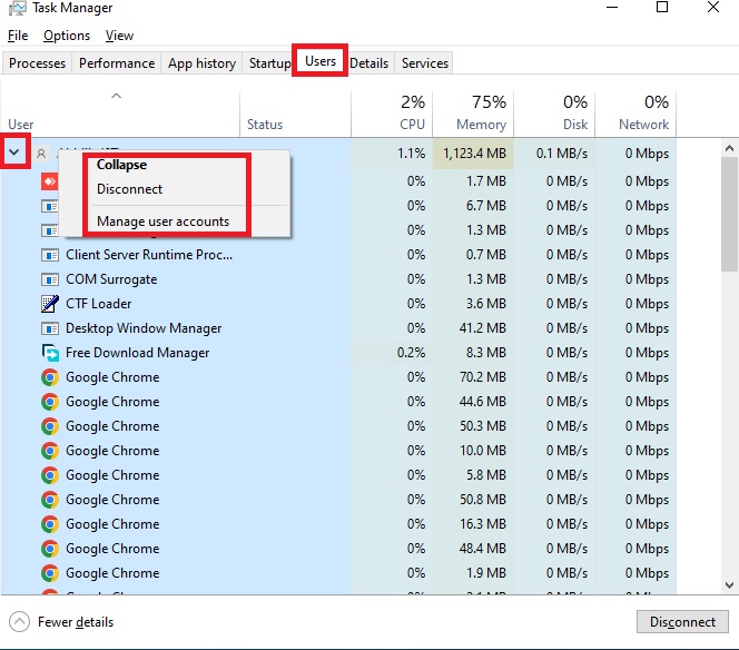 Task manager users tab