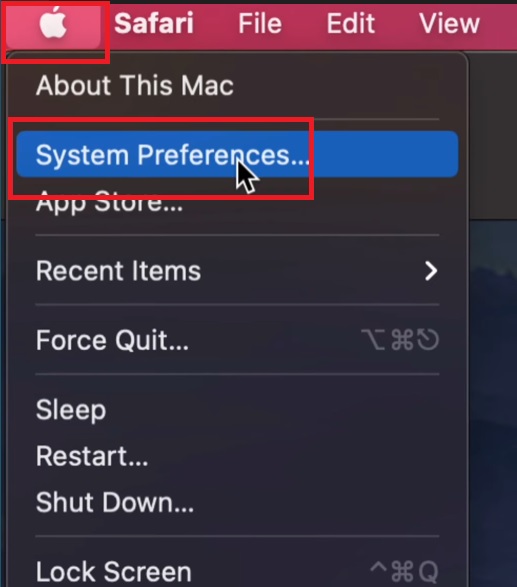 Clicking on System Preferences