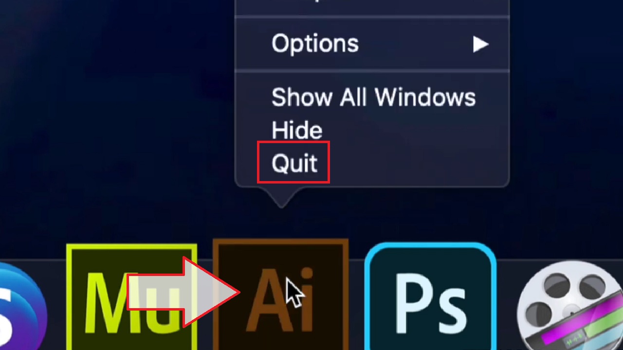Clicking on the Quit option