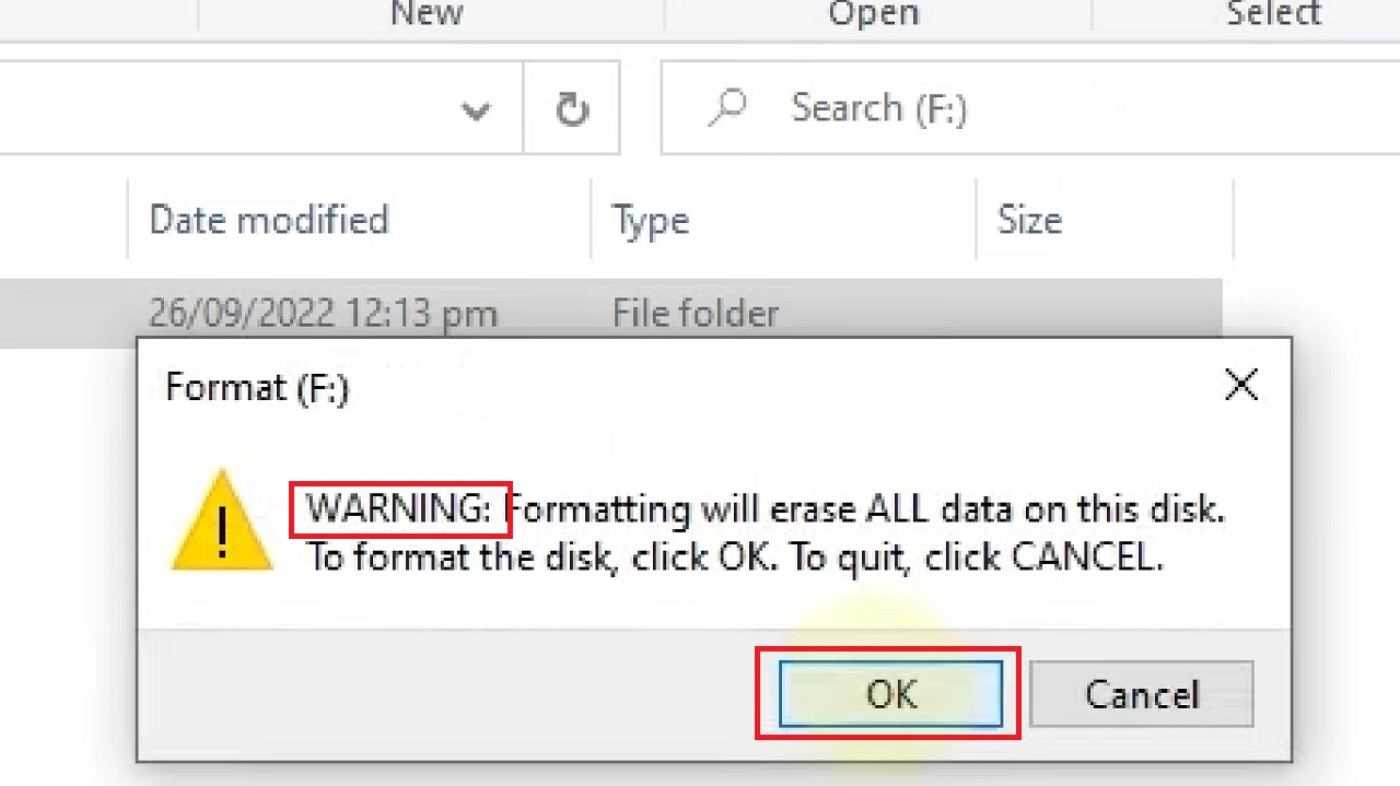 Clicking on the OK button in the WARNING window