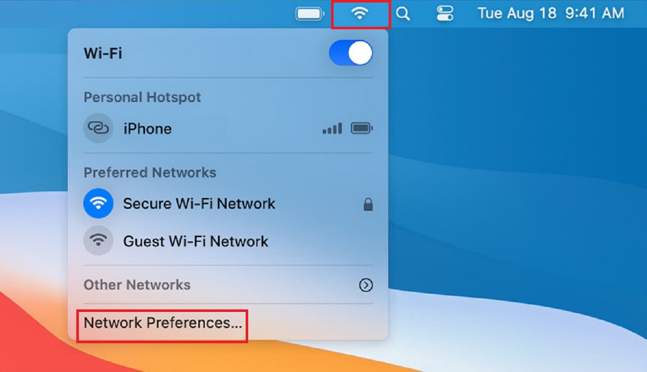 Opening Network Preferences